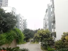 带露台 带花园 精装房拎包入住 业主诚心出售