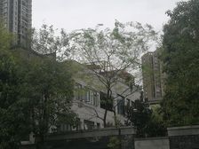 金房三径 5室3厅 东