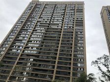 信地藏龙阁1室0厅西南