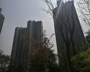 蓝润锦江春天3室2厅东