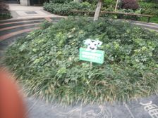 金房三径 6室2厅 西南 东南