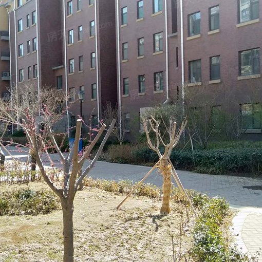 平度江山帝景3室1厅1卫南朝向2080.00元/月出租