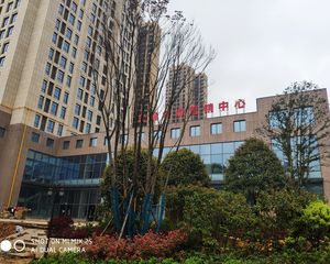 江南华府1室1厅西南