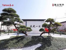 泰禾院子产证办了诚心出,好位置,地上三层的