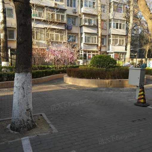 整租·团结湖·团结湖中路南一条·3室