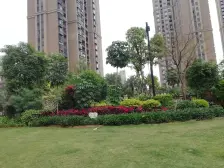 联发杏林湾一号 前排靠海 自住装东南朝向