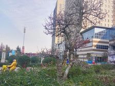 宝龙城市广场珑寓1室1厅南