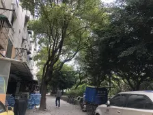 电梯高区楼 窗户都是对外采光 小区中间位置 闹中取静