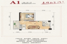 学府华庭A1-1室1厅1卫-63.0㎡