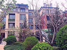 上叠 南北通透无遮挡 有电梯出行方便