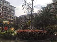 73万!金域丽江 电梯清水房 2居室 可看江景双景观阳台