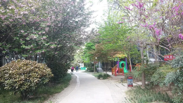 枫景观天下