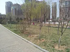 金桥澎湖山庄 2室1厅 南