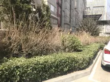 格局设计合理 一室一厅 房主诚心出售