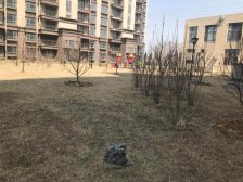 高新区 广贤梁园精装修一室一厅55平南北向 封闭小区