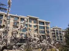 五层电梯洋房中间楼层丰金紫金山庄和园