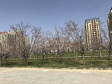 龙湖花屿墅 精装上叠拼 2楼入户3+4楼 5楼是空中露台