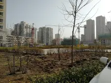 两室两厅 丰和丽园 电梯房 低楼层