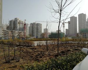 焦家湾地铁口丰和丽园两室一厅卧室朝南