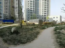 焦家湾地铁口,一居室,东南朝向,看房方便