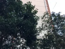 :中间楼层,交通便利地铁400米,全明户型总价低