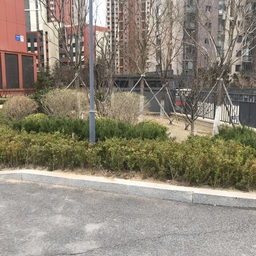 大连天地悦丽海湾2室1厅1卫南朝向3400.00元/月出租