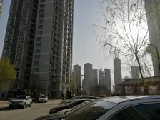 丰和丽园 1室1厅 南