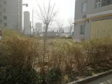 环境好 小区也年代不久 适合老人年轻人居住 小区安静