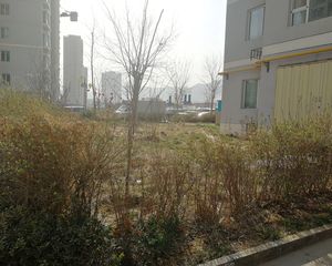 丰和丽园2室2厅南