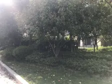 电梯洋房三房两卫横厅次顶楼保养好可拎包