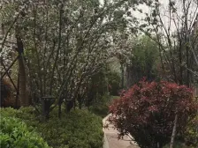 新郑 龙湖锦艺城 3室2厅