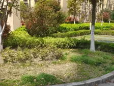 好楼层好视野一房,业主着急出售,看房随时价格可谈