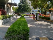 近地铁,电梯房急售房源