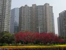 海逸名门,标准一室一厅,业主诚心出售,视野好