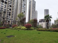 永通澄湖国际街区一期 南北通透,采光好 装修好,环镜优美 视野好,诚心出售