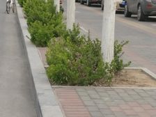 南北通透,户型方正,明厨明卫全天采光