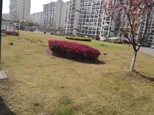自住装修+三轨交+汤巷体育公园