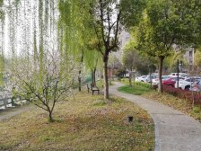 南北通的一房 户型少 低楼层接地气 诚心卖方便看房