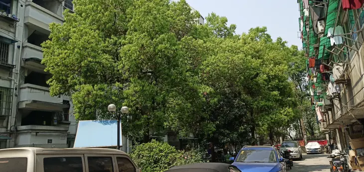 清泰南苑