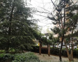 东部2室世纪新村B区精装修看房方便