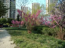 宝祥苑 2室2厅 南