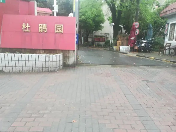 杜鹃园