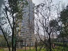 滨海路上的沿海高档社区,电梯高层,房子采光好能看海