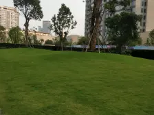 业主急卖此房高楼层采光佳视野开阔景光好保养好通风好