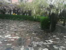 小区花园位置,安静,采光视野都好