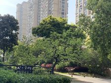 世家小高层,全新的装修,中上楼层,满五唯一,视野好