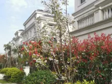 张江·浦开世纪珑墅·6室·3厅