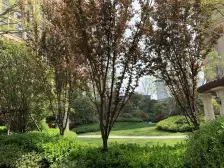 尹山湖阳光天地商业广场2室1厅,轻轨口,价格可谈,中间楼层