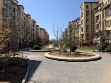 光织谷西区 跃层 精装修 客厅通阳台 随时看