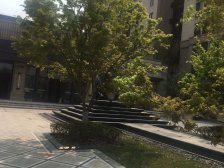 临港新城·天健萃园·2室·1厅